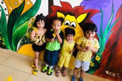 yellow-colour-day