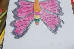 shearon-activity10