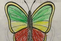 shearon-activity11