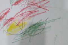 shearon-activity13