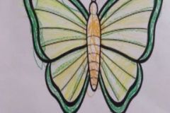 shearon-activity14