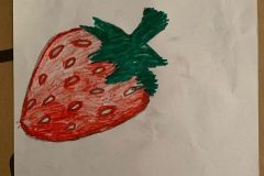 shearon-activity15