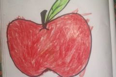 shearon-activity18