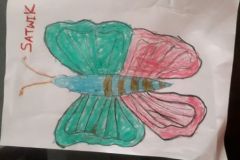 shearon-activity2