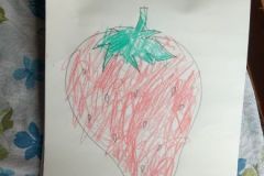shearon-activity23