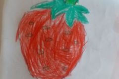 shearon-activity25