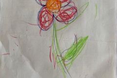 shearon-activity3