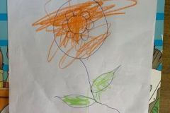 shearon-activity4