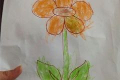 shearon-activity5