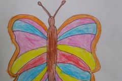shearon-activity6