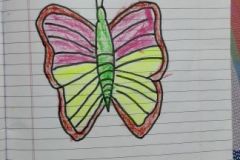 shearon-activity8