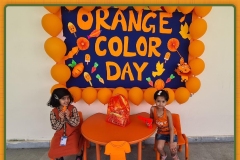 Orange Colour Day
