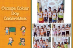 Orange Day_05062023