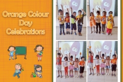 Orange Day_05062023