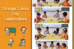 Orange Day_05062023